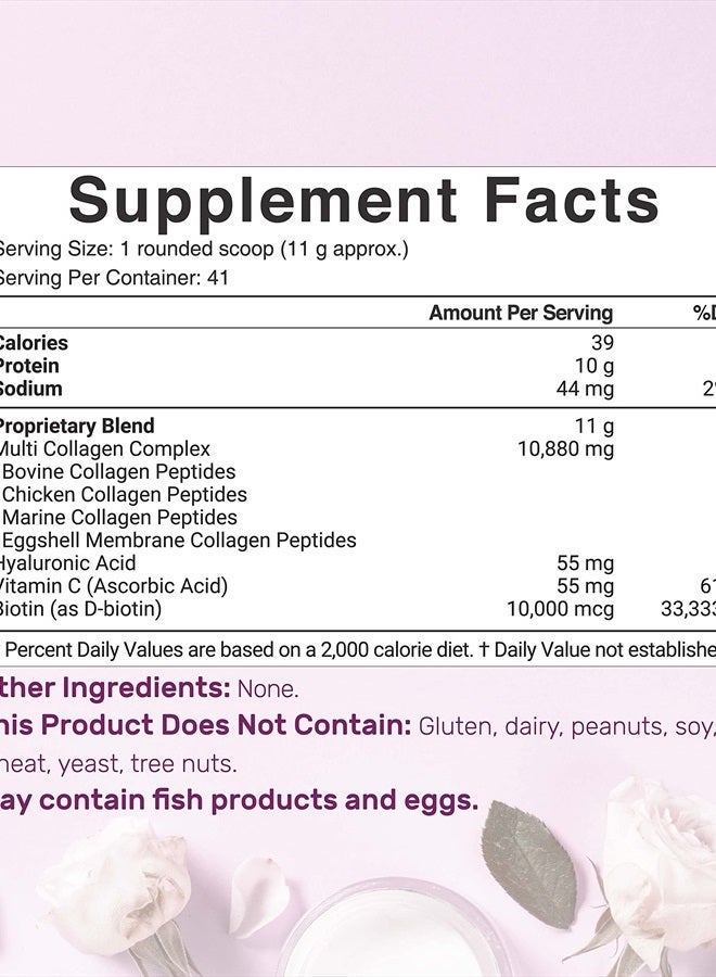 DEAL SUPPLEMENT مسحوق بروتين الكولاجين المتعدد، 1 رطل - نوع I، II، III، V، X ببتيدات الكولاجين مع البيوتين 10000 ميكروغرام، فيتامين C وحمض الهيالورونيك - بدون نكهة - مناسب للكيتو والباليو، رائع للشعر والبشرة والأظافر والمفاصل - Image 3